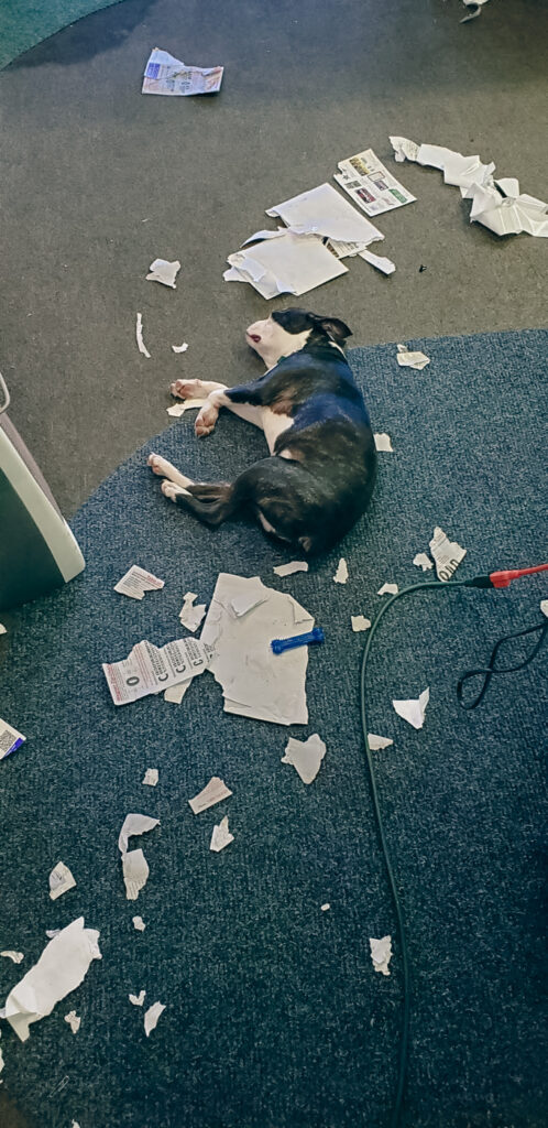 Screenshot_20220608-185807_Gallery